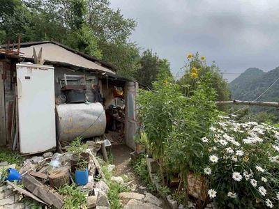 Doğadan topladığı andız çekirdeklerinden koleksiyonluk tespih üretiyor