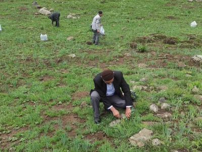 Doğu ve Güneydoğu huzura kavuştu: Teröristlerden arındırılan dağlar, vatandaşların geçim kaynağı oldu!
