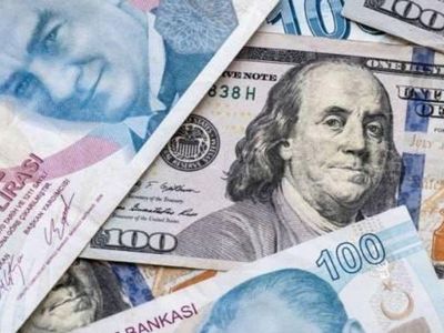 Dolar tüm zamanların rekorunu kırdı: Türk Lirası dolar karşısında çöktü
