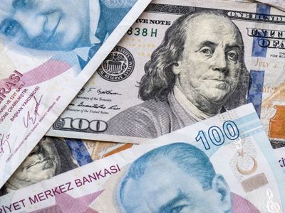 Dövizden TL’ye dönüşte kritik karar: 31 Aralık’a kadar geçerli olacak