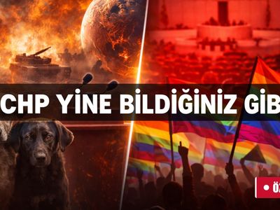 Dünya alarm verirken CHP’ninı gündemi: Hayvanlar ve LGBT