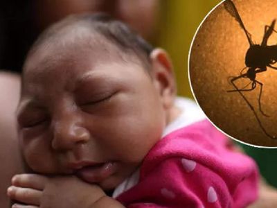 Zika virüsü bulaşıcı mı? Zika virüsü hangi ülkelerde görüldü, belirtileri neler? Dünya gündemi yeni tehlike Zika virüsünü konuşuyor!