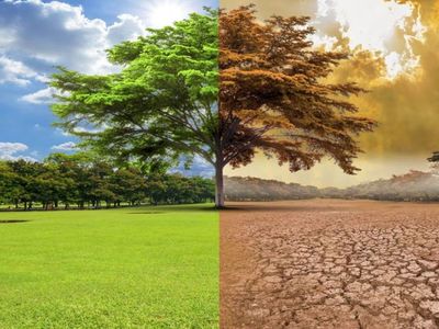 Dünya Meteoroloji Örgütü’nden endişeli haber: ‘‘Normallerin üzerinde sıcaklık bekleniyor!’’