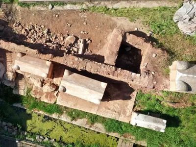 Dünyada bir ilk Kocaeli'nde bulundu! İşte imparatorun koruyucusunu uyarma yöntemi