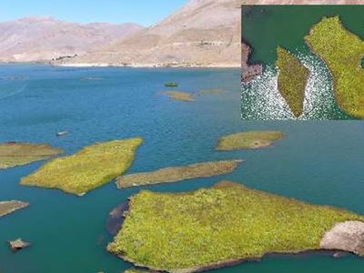 Dünyada Sadece Türkiye'de Var: Yüzen Adaların Atmosferi Koruduğu Ortaya Çıktı