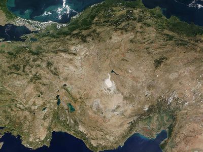 Dünyayı saran gıda krizine Türkiye formülü!