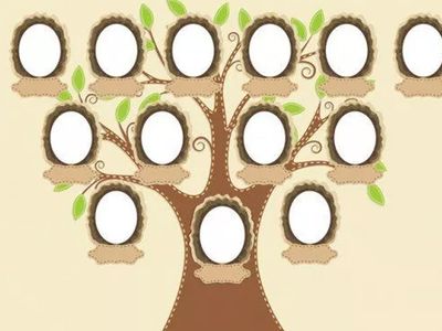 e-Devlet Soy Ağacı Nasıl Sorgulanır?