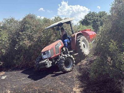 Kaynarca'da makilik alanda çıkan yangın kontrol altına alındı
