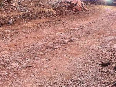 Alanya'da orman yangını kısa sürede kontrol altına alındı