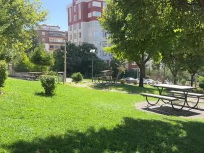 Kahramanmaraş'taki park, kargaların yeni evi oldu