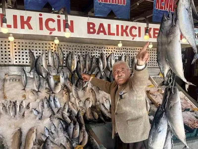 Palamut sezonu bereketli geçiyor: Fiyatlar 100 TL’ye düştü