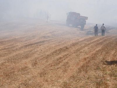 Edirne'de Orman Yangınında Ciğerimiz Yanmıştı! Davada Karar Verildi