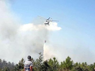 Edirne'de Ormanlık Alanda Korkutan Yangın Meydana Geldi!