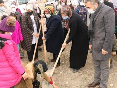 Edremit’te Kadınlar Gününe Özel Fidan Dikildi