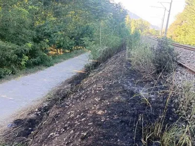 Bilecik'te YHT hattı yakınlarında ot yangını paniği