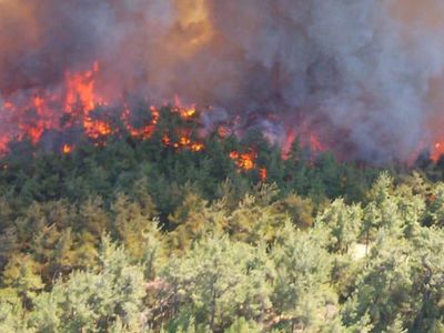 Ekipler harekete geçti: Antalya’da orman yangını