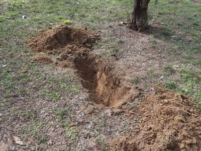 Ekipler Mezar Kazılıyor İhbarıyla Olay Yerine Gittiğinde Korkunç Gerçekle Karşılaştı!