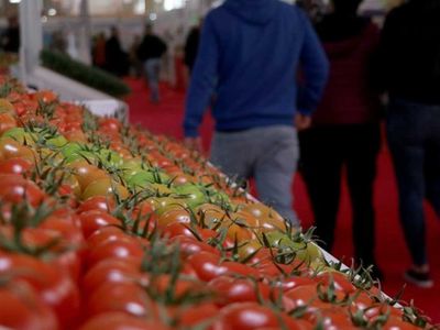 Ekonomide seferberlik! Bakan Nebati'den önemli açıklamalar: Gıda fiyatlarındaki artış için 2 büyük adım