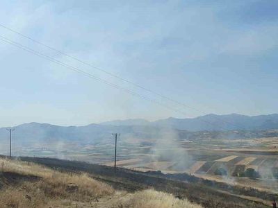 Elazığ'da çıkan yangında 40 dönümlük arpa tarlası yandı