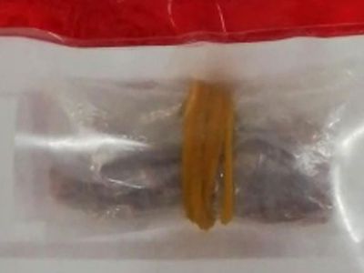 Elazığ'da Gerçekleştirilen Operasyonda 1 Kg Nükleer Madde Ele Geçirildi