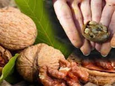 Eldeki inatçı ceviz lekelerine kesin çözüm! 6 etkili çözüm ile eldeki ceviz lekelerinden kurtulun