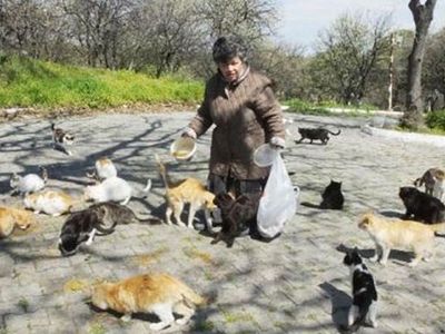 Emekli Hemşire 17 Yıldır Kendini Sokak Kedilerine Adadı