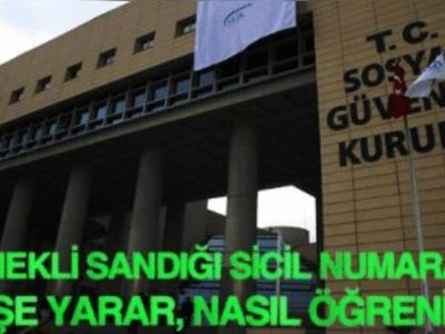 Emekli Sandığı sicil numarası sorgulama, öğrenme işlemi nasıl yapılır? Emekli Sandığı sicil numarası sorgulama öğrenme