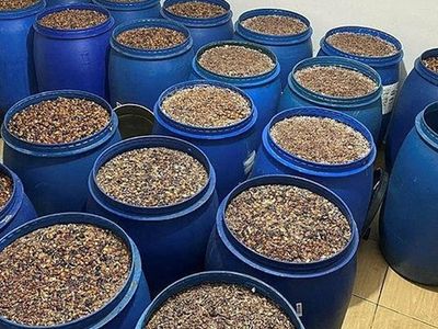 Emniyet Müdürlüğünden 81 İlde Yılbaşı Öncesi Operasyon