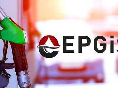 EPGİS nedir, ne demek? EPGİS açılımı ve anlamı