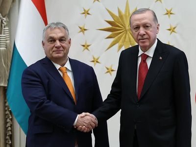Erdoğan, Orban ile görüştü