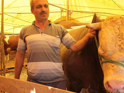 Erzurum kurbanlık fiyatları ne kadar? 2022 Erzurum büyükbaş, küçükbaş kurbanlık hisse fiyatları