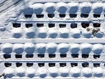 Erzurum'da 500 kişilik mezar kazıldı