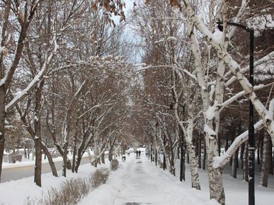 Erzurum’da Mart Kapıdan Baktırdı