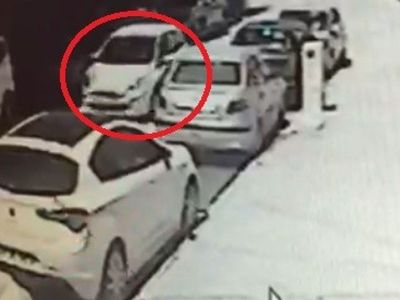 Eskişehir'de Kediyi Ezip Kaçan Sürücü İçin Kasıtlı Değil Kararı Çıktı