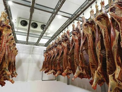 Et alerjisinin belirtileri nelerdir? Et alerjisi olanlar bağışıklık sistemini tehlikeye atıyor