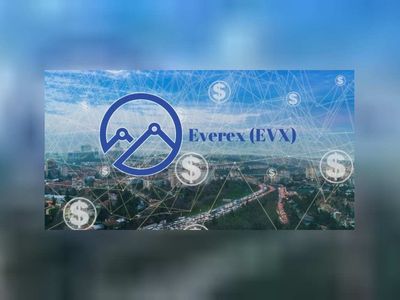 Evx coin nedir? Everex coin projesi ve yol haritası