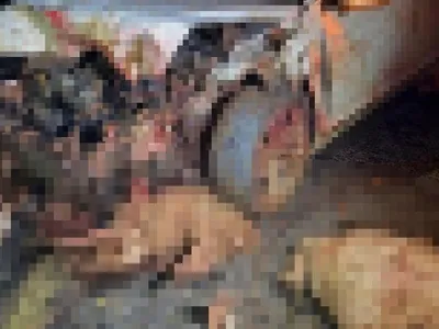 images