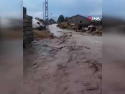 Ağrı'da etkili yağış sonrası sel felaketi: Dalbahçe köyünde yollar sular altında kaldı