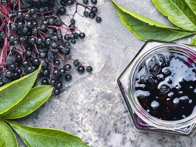 Faydaları saymakla bitmeyen kara mürver çayı nasıl yapılır, nelere iyi gelir? Kara mürver çayında bulunan vitamin ve mineraller