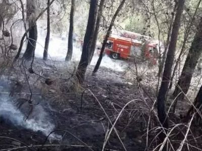 Fethiye'de orman yangını! Ekipler olay yerine intikal etti