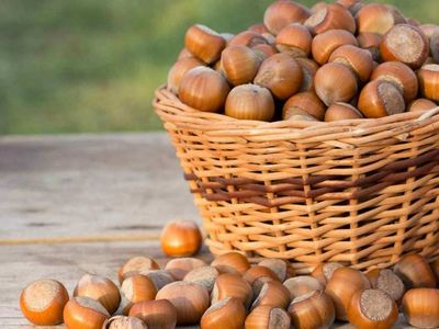 Fındık taban alım fiyatı kaç para oldu? 2022 Fındık taban fiyatı