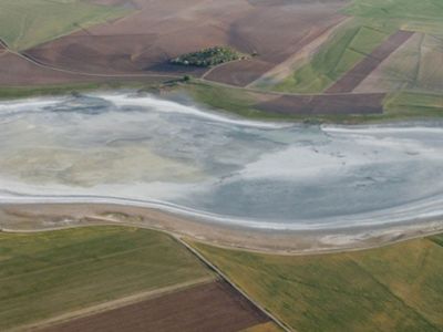 ‘Flamingo Cenneti’nde Kuş kalmadı