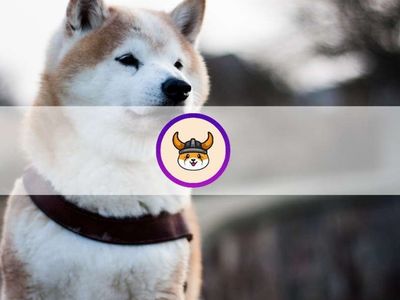 Floki Inu Nedir, Floki Inu Yorumu Nasıl?