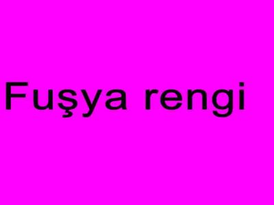 Fuşya nasıl bir renktir, ismini nereden almıştır? Fuşya renginin anlamı