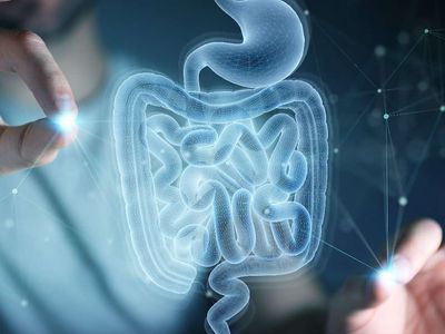 Gaitada gizli kan testi nedir, nasıl yapılır? Gaitada gizli kan çıkmasının 11 nedeni ve tedavi yöntemleri