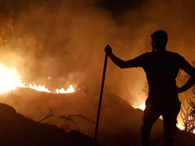 Gala Milli Parkı’nda yangın! Öğle saatlerinde başlayan yangın hala devam ediyor