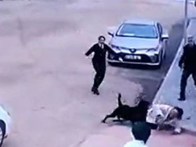 Gaziantep'te rottweiler okul önünde dehşet saçtı: 2 çocuk annesi ölümden döndü!