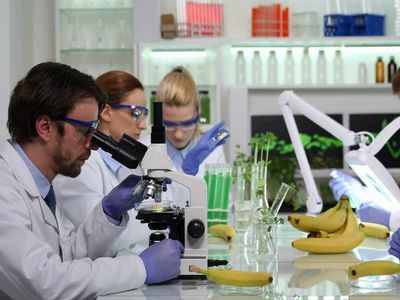 Gıda Mühendisliği DGS 2022 taban puanları ve bölüm kontenjanları