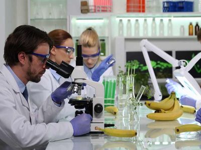 Gıda Teknolojisi DGS 2022 taban puanları ve bölüm kontenjanları