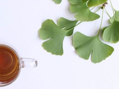 Ginkgo biloba nedir, ne işe yarar? 270 milyon yıllık geçmişe sahip olan ginkgo biloba şifa saçıyor
